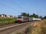 Die 186 281 und die 186 286 mit einem KLV-Zug am 24.08.2013 unterwegs bei Rckstetten.