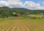 186 101 mit einem Containerzug am 15.06.2014 bei Sissach.