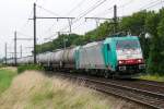 Cobra-Lok 2811 (186 203) macht sich vom Antwerpener Hafen mit einem Kesselzug am Haken auf den Weg nach Aachen-West, hier aufgenommen am 12/08/2009 auf der Schleife bei Ekeren.