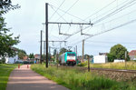 Cobra-Lok 2829 (186 221) zieht einen Kesselwagenzug durch Hoeselt in Richtung Aachen-West.