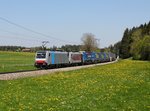 Die 186 288 und die 186 284 mit einem KLV-Zug am 07.05.2016 unterwegs bei Fellach.