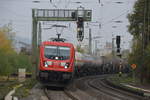 187 110 in Oberlahnstein

Aufnahme Ort: Oberlahnstein
Aufnahme Datum: 18.10.2018