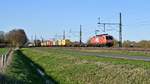 WLE 81 (189 801) mit Containerzug DGS 52463 Dradenau - Lippstadt Gbf (01.04.19).