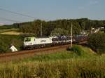 Die 193 893 mit einem Autozug am 20.07.2018 unterwegs bei Haiding.