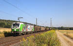 193 219  Stille Nacht  mit einem Holzzug am 03.08.18 in Kerzel    