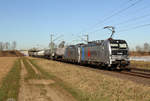 193 828 & 193 817 bei Bornheim am 27.02.2019