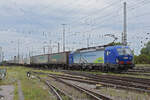 Siemens Vectron 193 497-5 durchfährt den badischen Bahnhof.