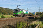 193 223-5 mit einem Containerzug am 11.10.2023 bei Hermannspiegel.