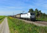 193 814 mit einem Schiebewandwagenzug am 28.09.2014 bei Langenisarhofen.