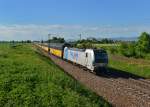 193 810 mit einem ARS-Altmann am 03.06.2015 bei Plattling.