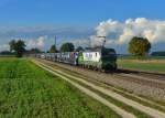 193 832 mit einem Autozug am 09.10.2015 bei Langenisarhofen. 