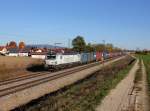 Die 193 821 und die 193 802 mit einem Containerzug am 01.11.2015 unterwegs bei Langenisarhofen.