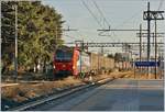 Die SBB Cargo International Re 193 467 fährt mit einem Güterzug Richtung Schweiz durch den Bahnhof von Gallarate.