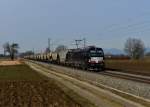 193 873 mit einem Getreidezug am 18.02.2014 bei Langenisarhofen.