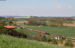 193 *** mit einem Containerzug bei Dehnsen 6.5.16