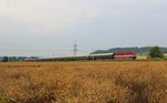 211 030 zu sehen am 23.07.16 mit dem  Störtebeker-Express  von Saalfeld nach Bergen auf Rügen bei Großeutersdorf.