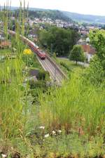 Eine unbekannt gebliebene 111 zieht am 19.05.2013 ihre Regionalbahn durch Dollnstein Richtung Treuchtlingen.
