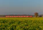 111 031 mit einem RE am 06.11.2015 bei Langenisarhofen. 