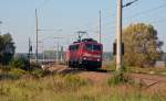 111 172 war am 17.09.14 vom DB Werk Dessau aus auf Probefahrt Richtung Wittenberg, fotografiert bei Durchfahrt in Burgkemnitz.