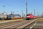 112 139-1 begegnet 185 571-7 (241.014  Ackbar ) im Bahnhof Großkorbetha.

🧰 DB Gebrauchtzug (DB Regio Südost), vermietet an die Wedler Franz Logistik GmbH & Co. KG (WFL) für den Franken-Thüringen-Express (FTX | DB Regio Bayern) | Hector Rail GmbH (Hector Rail AB)
🚝 RE 77059 (RE42) Leipzig Hbf–Nürnberg Hbf
🕓 13.8.2022 | 9:00 Uhr