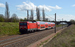 Anstelle einer 146er zog am 07.04.16 114 032 ihren RE von Naumburg(S) kommend durch Arensdorf Richtung Magdeburg.