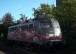 Im  falschen  Licht: 115 509 (80 Jahre Auto im Zug) mit der  besseren Seite  leider hinter Bumen am Morgen im Bahnhof Neumnster (20.10.2011) 