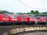 Die Br.151 159-1, 185 071-8, 155 135-7, 189 069-8 und Br.139 246-3 trafen sich im Juni 2007 im E-Lok Schuppen des BW Nrnberg RBF.