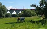 Eine unbekannte 143 befährt den Saaleviadukt in Hof Unterkotzau mit dem damaligen Dosto-RE3. Die beiden 4Beiner interessierte das nicht . Foto vom 07.06.2016.