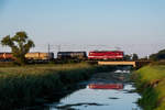 243 559 wurde von Rostock über Stralsund umgeleitet, da bei Neustrelitz ein Böschungsbrandt den Verkehr lahm legte.