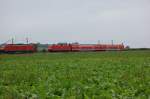 Begegnung am 28.07.2007 RE von Hoyerswerda nach Dresden zwischen Priestewitz und Niederau.