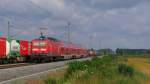 Bei dem Bild mit der 186er hatten wir noch Glck, denn die RB 17862 nach Halle (Salle) Hbf ber Lutherstadt Wittenberg und Dessau mit der schiebenden 143 893-6 begegnete dem Containerzug an unserem