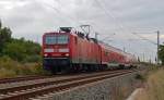 Die dienstälteste Lok der BR 143 tat am 23.08.14 Dienst im Regionalverkehr auf der Strecke Bitterfeld-Dessau.