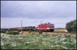 DR 243213 war am 4.10.1991 mit einem Güterzug bei Teschenhagen in Richtung Greifswald unterwegs. Wenn ich es richtig in Erinnerung habe, befand sich hinter der Lok ein Übergangswagen und dahinter hängen russische Güterwagen mit Klauenkupplung.