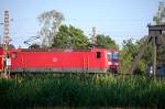 17.06.2008 143 809-2 an der Elsterbrcke kurz vor Falkenberg/E.