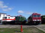 Gruppenbild der DR E-Loks 243 001-5 (143 117), 211 049-2 und 250 250-8 im BW Weimar am 09.10.11.