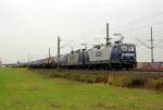 143 554-4 & 143 xxx-x der RBH bei Porz(Rhein am 08.10.2013