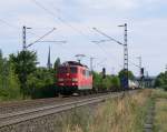 151 075 mit KLV-Zug im Maintal bei Thngersheim.