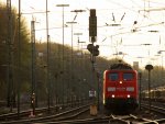 151 164-1 von Railion steht in Aachen-West mit einem langen gemischten Gterzug aus Osnabrck nach Kortenberg-Goederen(B) in der Abendsonne am 18.4.2013.