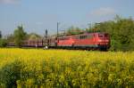 151 006 und eine weitere 151er mit einem Gterzug. Augenommen im Mai 2013 zwischen Nordbgge und Kamen