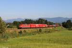 151 002 mit Güterzug am 05.08.2015 bei Rann.