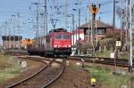 155 008 kommt mit einem Leerhrenzug von der Insel Rgen, hier am Abzwg. Stralsund Srg am 14.04.2010