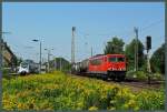 155 077-1 zieht am 22.08.2015 einen kurzen Güterzug, der auf einer Modellbahn-Anlage wohl als  nicht vorbildgerecht  kritisiert werden würde, durch Leipzig-Thekla zum Rangierbahnhof