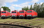 FWK 156 001-0, 156 002-8, 156 003-6 und 156 004-4 prsentierten sich am 28.05.2022 beim Eisenbahnfest des Thringer Eisenbahnvereins im ehem. Bw Weimar.