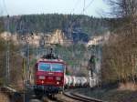 180 013 Kndel, zieht ihren Kesselwagenzug am 7.4.13 durch Stand bei Rathen.