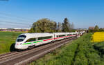 411 051  Elsterwerda  als ICE 1573 (Hannover Hbf – Frankfurt(Main)Hbf) bei Kirch Göns 3.5.23
