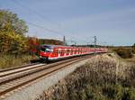 Der 420 459 als S Bahn nach Geltendorf am 25.10.2020 unterwegs bei Kottgeisering.