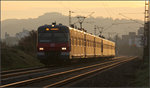 Im morgendlichen Streiflicht -

Ein S-Bahn der Baureihe 420 in Richtung Stuttgart bei Weinstadt-Endersbach auf der Remsbahn.

19.10.2010 (M)