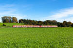 Ein Vollzug der Münchner S-Bahn rollt am 02.10.2017 zwischen Gilching und Geisenried durch die frühherbstliche Landschaft