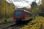 Nachschuß auf 425 733-3 als S1 nacch Osterburen in Neckargerach.4.11.2020