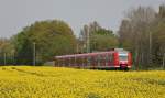 425 574-1 als RB11071 nach Aachen am Km 25.6 zwischen Geilenkirchen und bach-Palenberg, 28.4.10